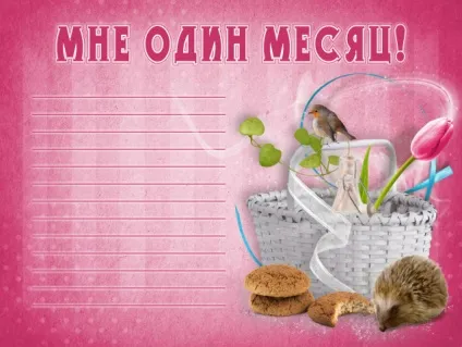 Паспорт новонародженого, або оформлення першого альбому малюка (альбом наш малюк) Паспорт новонародженого, або оформлення першого альбому малюка