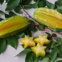 отглеждане Carambola у дома