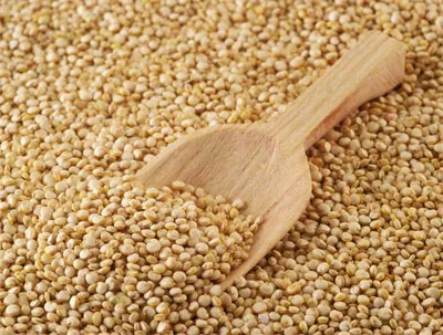 Quinoa - granulația divinului Incas