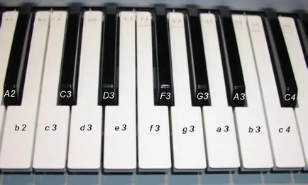 tablature tastatură