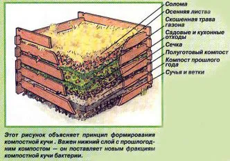 Компостът яма в страната със своите ръце снимки, видео