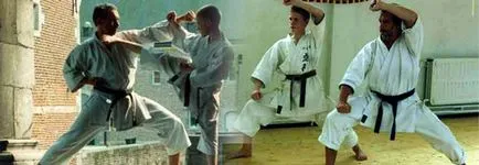 Cine a aprins steaua de karate mondial Lefebvre