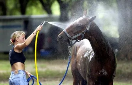 Fürdés és fogmosás egy ló