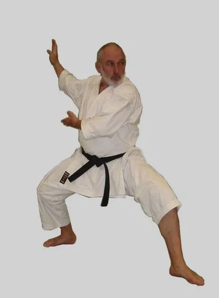 Ki gyújtotta a világ karate csillag Lefebvre