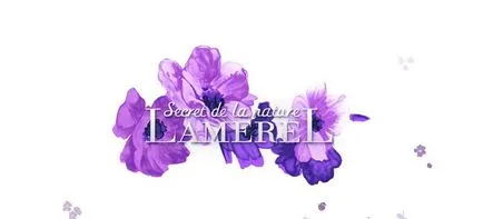 мнения Lamerel фирма