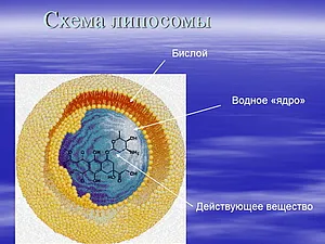 Lipozomii în produsele cosmetice - artizani echitabil - manual, lucrate manual