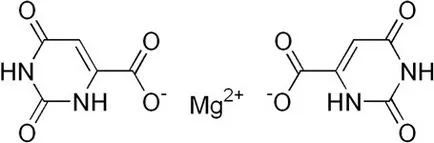magnézium-orotát