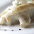 Як маринувати грузді кращі рецепти приготування, грибний сайт (кращі) Як маринувати грузді кращі рецепти приготування, грибний сайт
