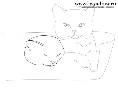 Як намалювати кошеня в кошику олівцем поетапно (намалювати) Як намалювати кошеня в кошику олівцем поетапно