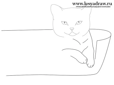 Як намалювати кошеня в кошику олівцем поетапно (як намалювати кошеня в кошику) Як намалювати кошеня в кошику олівцем поетапно