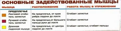 Як накачати зап'ястя - pro-kach - бодібілдинг для початківців - my life