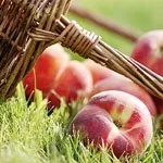 Персик склад, властивості і користь персика (користь) Персик склад, властивості і користь персика