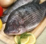 Kapelán előnyei és hátrányai halak és őz, hasznos tulajdonságok és ellenjavallatok receptek