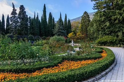 Nikitsky Gradina Botanica în fotografii Crimeea, cum să obțineți