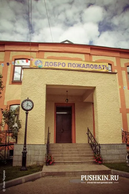 Науково-дослідний дитячий ортопедичний інститут ім