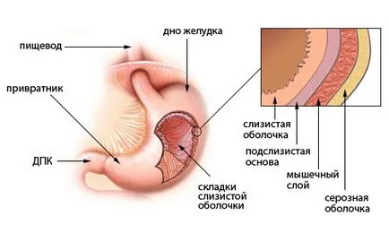 Нулева стомашната киселинност