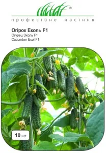 описание на разнообразието от краставица - Ecole f1 характеристики и култивиране