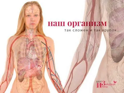 Надання першої допомоги при кровотечах (першої) Надання першої допомоги при кровотечах