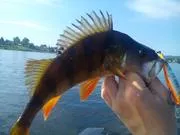 Основните видове монтаж кран каишка - домашно риболов с ръцете си
