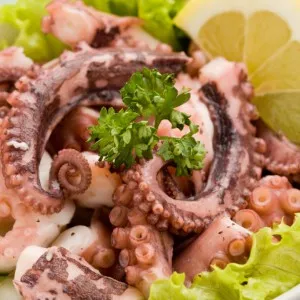 beneficiu Octopus si efectele daunatoare pentru sanatate, produse alimentare și de sănătate