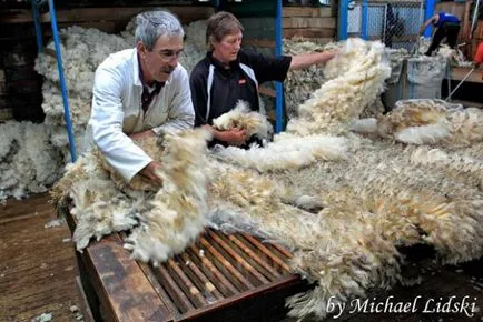 Особености на националния стригане на овце - Справедливи Masters - ръчна изработка, ръчно изработени
