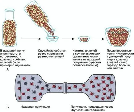 орографските фактори