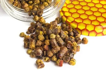 Амброзия пчелен прашец като хранилище за сухо съхранение - методи на съхранение в дома