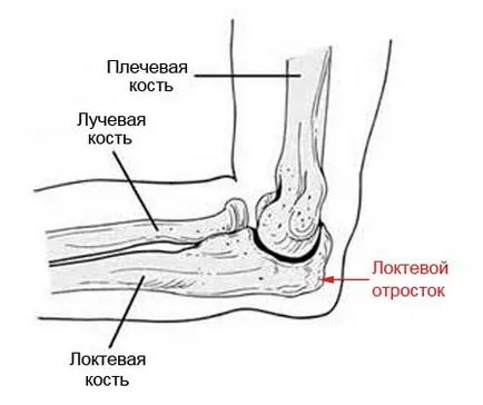 Hand törése ulna kezelés akkréciós időszak