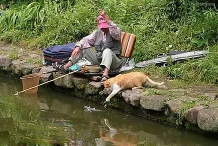 De ce ai nevoie pentru a „da drumul“ de un singur om în cazul în care este necesar să-l să nu mai vorbim