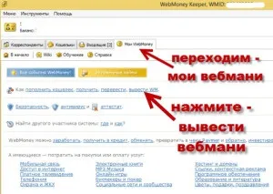 Чому qiwi гаманець не працює, робота в інтернеті (чому) Чому qiwi гаманець не працює, робота в інтернеті