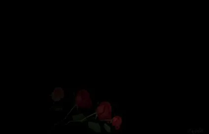 Плейкаст як шкода що не змогла підняти вуаль (змогла) Плейкаст як шкода що не змогла підняти вуаль