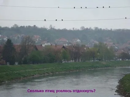 Чому перелітні птахи повертаються, 44 конверта (чому перелітні птахи) Чому перелітні птахи повертаються, 44 конверта