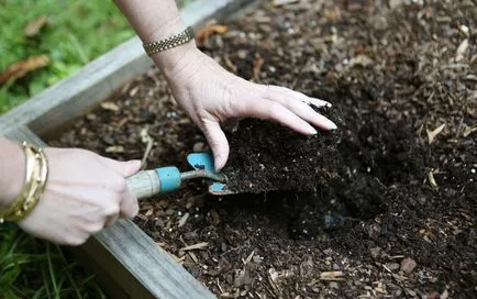 Land előkészítés ültetés előtt az üvegházban, mint feldolgozni a talaj egy üvegházban, a csere fitosporin