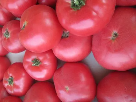 Tomate soiuri pitice pentru sere, nume, descriere, foto, video