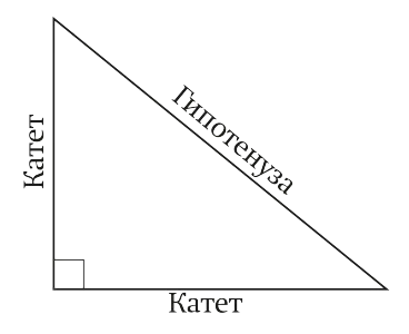 правоъгълен триъгълник