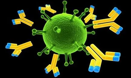 Antiherpethetical immunglobulin-kezelés és az adagolás