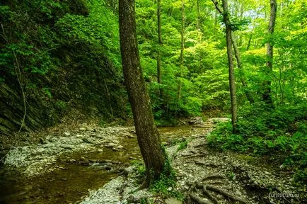 Pshadskie vízesések és dolmenek a folyó völgyében Pshada