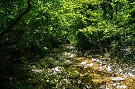 Pshadskie vízesések és dolmenek a folyó völgyében Pshada