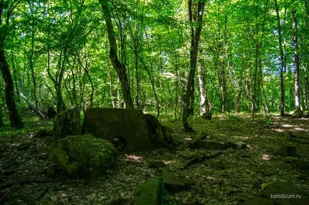 cascade Pshadskie și dolmene în valea râului Pshada