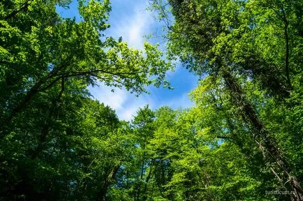 cascade Pshadskie și dolmene în valea râului Pshada