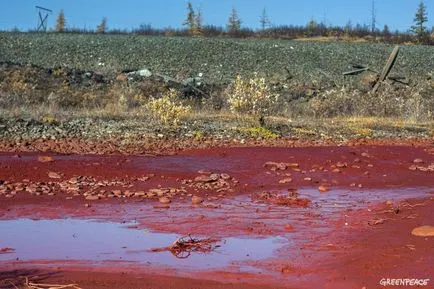 Vizualizarea problemelor - Norilsk