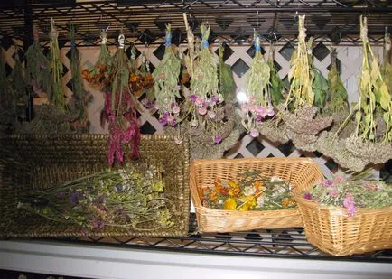 Növények és szárított virágok fotó címe