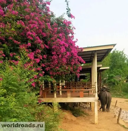 excursie River Kwai în Thailanda, drumurile din lume