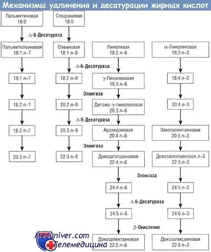 Отцепването на мастни киселини