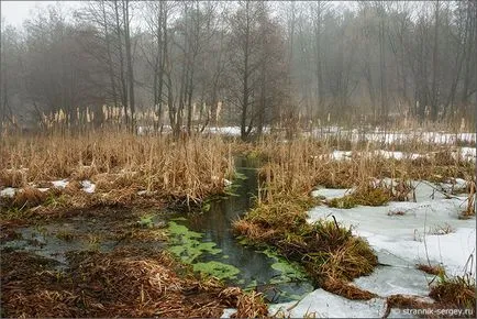 река око