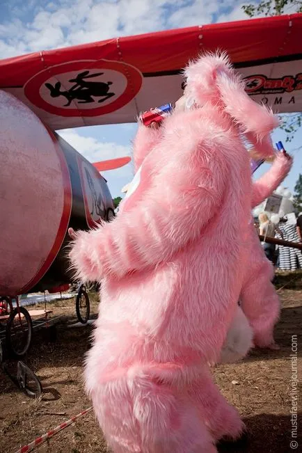 Red Bull Flugtag știri 2011 fotografie