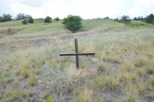 Native Land - hogy van, őserdő