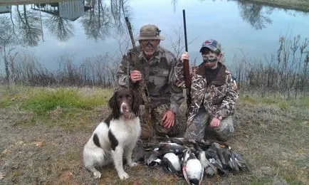 Spaniel Română de formare, foto, comentarii