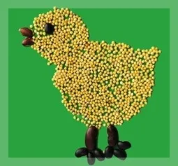Вироби з пшона своїми руками (руками) Вироби з пшона своїми руками