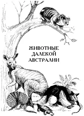 Чому зірниця здається далекою і при ній не чути грому (чути) Чому зірниця здається далекою і при ній не чути грому
